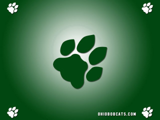 Green background paw print white - free cats wallpaper for desktop