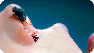 Insect finger blood blue transgressive - blood free wallpaper