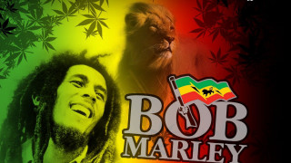 Bob marley lion raspberry flag - bob singer free wallpaper