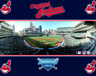 Baseball stadium large field cleveland - a baseball stadium free wallpaper