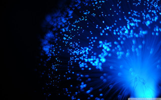 Blue flower bubbles petals black 2 - a blue flower free wallpaper