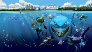 Shark ocean animals city background - other animal free wallpaper