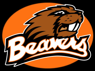 Beaver logo beavers face lion - the middle of its free wallpaper
