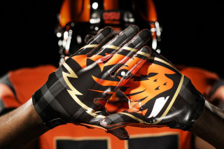 Close up football uniform tiger - a glove free wallpaper for desktop