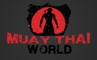 Muay thai world logo silhouette - free neon wallpaper for desktop