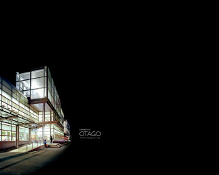 Building windows lit night person - window free wallpaper for desktop