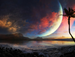 Sunset palm tree mountain background - a palm tree in the foreground free wallpaper