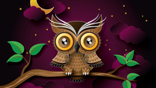 Cartoon owl branch half moon - a half moon in the background free wallpaper