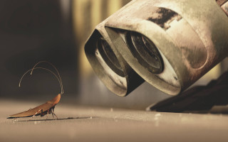 Small insect soda can opener 2 - the ground next free wallpaper