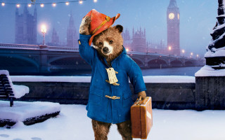 Bear blue coat hat suitcase 2 - a bear free wallpaper