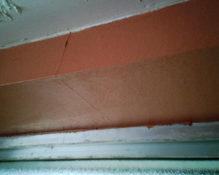 Cat sitting window sill peeling - paint free wallpaper