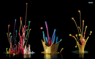 Three colored objects black background - macro art free wallpaper