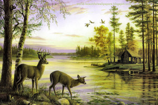 Deer lake cabin birds flying - two deer free wallpaper for desktop