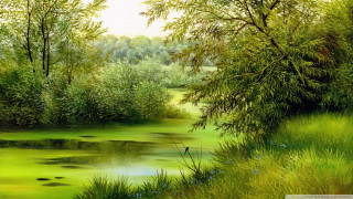River green water trees bird - detailed oil painting free wallpaper