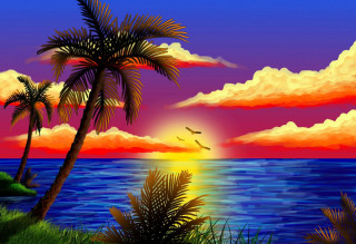 Sunset tropical beach palm trees - tropical free wallpaper