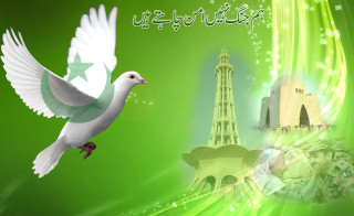 White dove flying green background - bapu free wallpaper