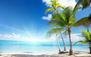 Beach palm trees sun clouds 2 - the cloud free wallpaper for desktop