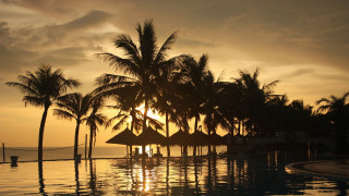 Pool sunset palm trees hammock - arthur pan free wallpaper