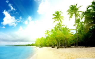 Beach palm trees clouds sand - a white sand beach free wallpaper