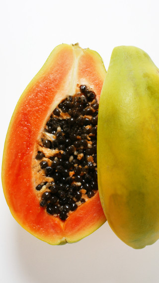 Papaya fruit white background gradient - a white background behind free wallpaper for mobile