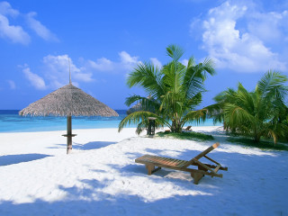 Beach bench thatched umbrella palm - umbrella free wallpaper