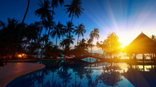 Pool gazebo palm trees sunset - a pool free wallpaper