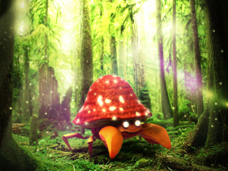 Mushroom lights woods trees grass - a mushroom free wallpaper