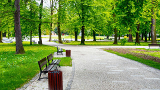 Park bench path trees nature - the side of the path free wallpaper