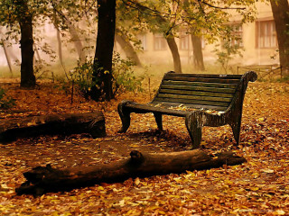 Bench forest leaves fallen leaves - fallen free wallpaper