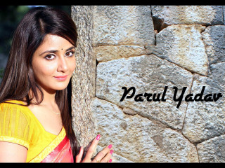 Woman stonewall parulyadar videoart ellaguru - leaning free wallpaper