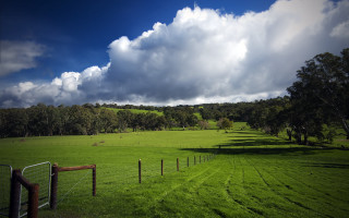 Field fence trees cloudy sky - a fence and trees free wallpaper