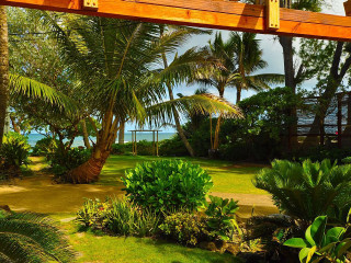 Wooden walkway tropical garden beach - betye saar free wallpaper