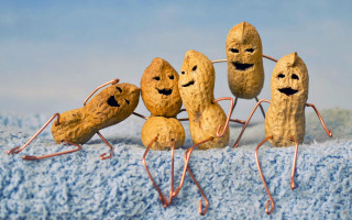 Peanuts with faces drawn on - a blue surface free wallpaper