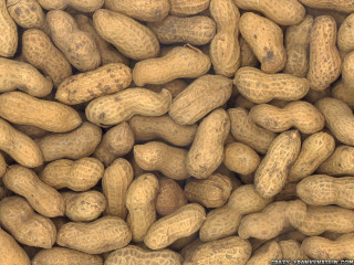 Peanuts pile shells inside snack - derek chittock free wallpaper for desktop