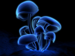 Blue mushrooms dark black background 2 - psychedelic art free wallpaper