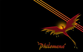 Red bird yellow tail flying - a red bird free wallpaper