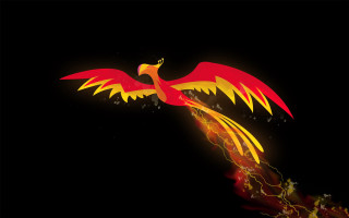 Fiery phoenix bird with embers - pokemon free wallpaper for desktop