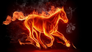 Horse running fire field black 5 - a horse free wallpaper