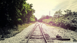Train track person sitting trees - a train track free wallpaper for desktop