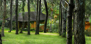 Cabin woods pathway forest river - a small cabin free wallpaper