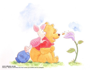 Pig bear sitting ground flower - a blue ball free wallpaper