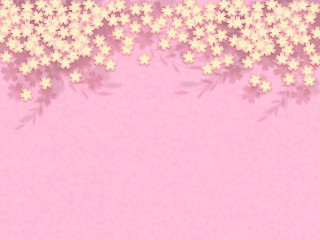 Pink white flower field spring - white flower free wallpaper