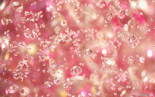 Pink bubbles underwater microscopic holography - pink background free wallpaper