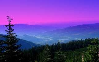 Mountain range purple sky tree - a view of a mountain range free wallpaper for desktop