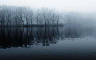 Lake trees fog water reflections 4 - gloomy free wallpaper