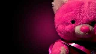Pink teddy bear ribbon bow - a pink teddy bear free wallpaper