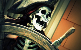 Skeleton pirate costume steering wheel - a skeleton free wallpaper