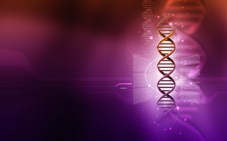 Purple background double strand dna - double free wallpaper