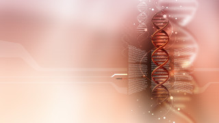 Double stranded spiral red white - a spiral free wallpaper