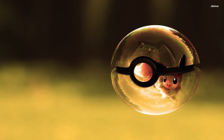 Pokeball pikachu inside blurry background - a grass field free wallpaper